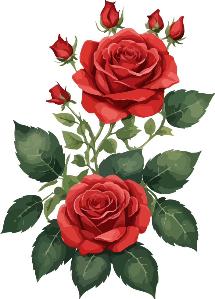 Red Rose Flower Illustration with AI Generative 28651132 PNG