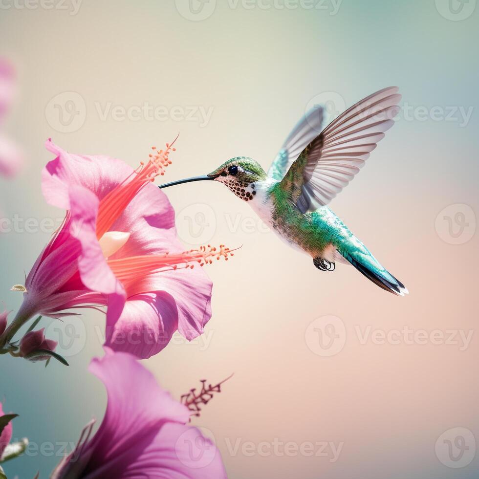 Minimalist capture of a hummingbird mid-flight sipping nectar from an exotic flower photo
