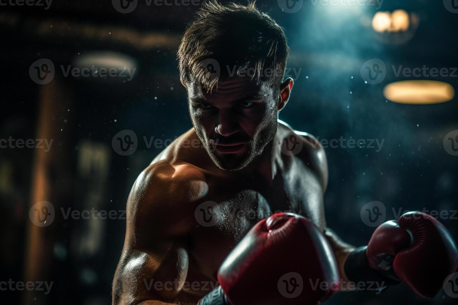 Underneath the Boxing Ring Lights - A Story of Strength and Determinity photo