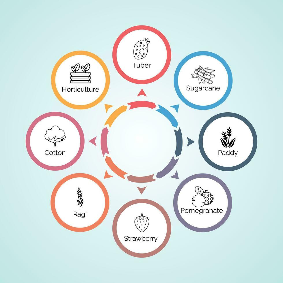 Infographic Template with Fruits Icon Digital Vector Stock Illustrations
