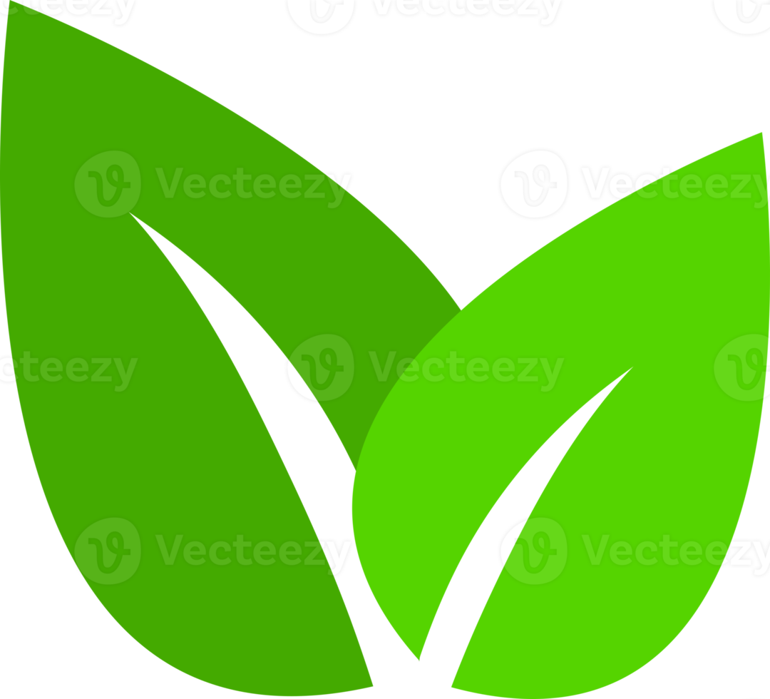 Green leave tree png