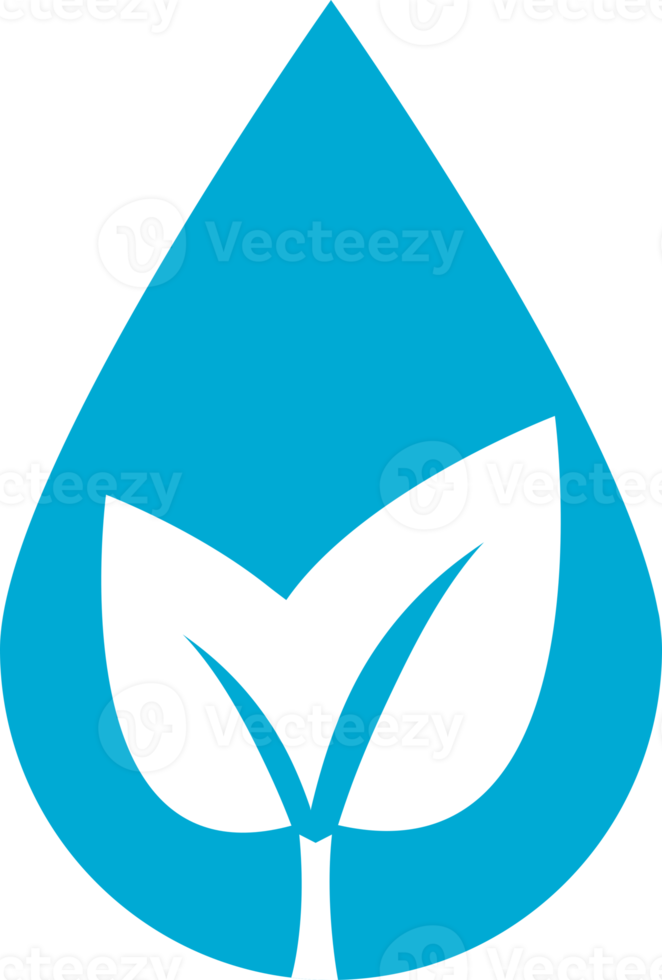 leave tree water drop png