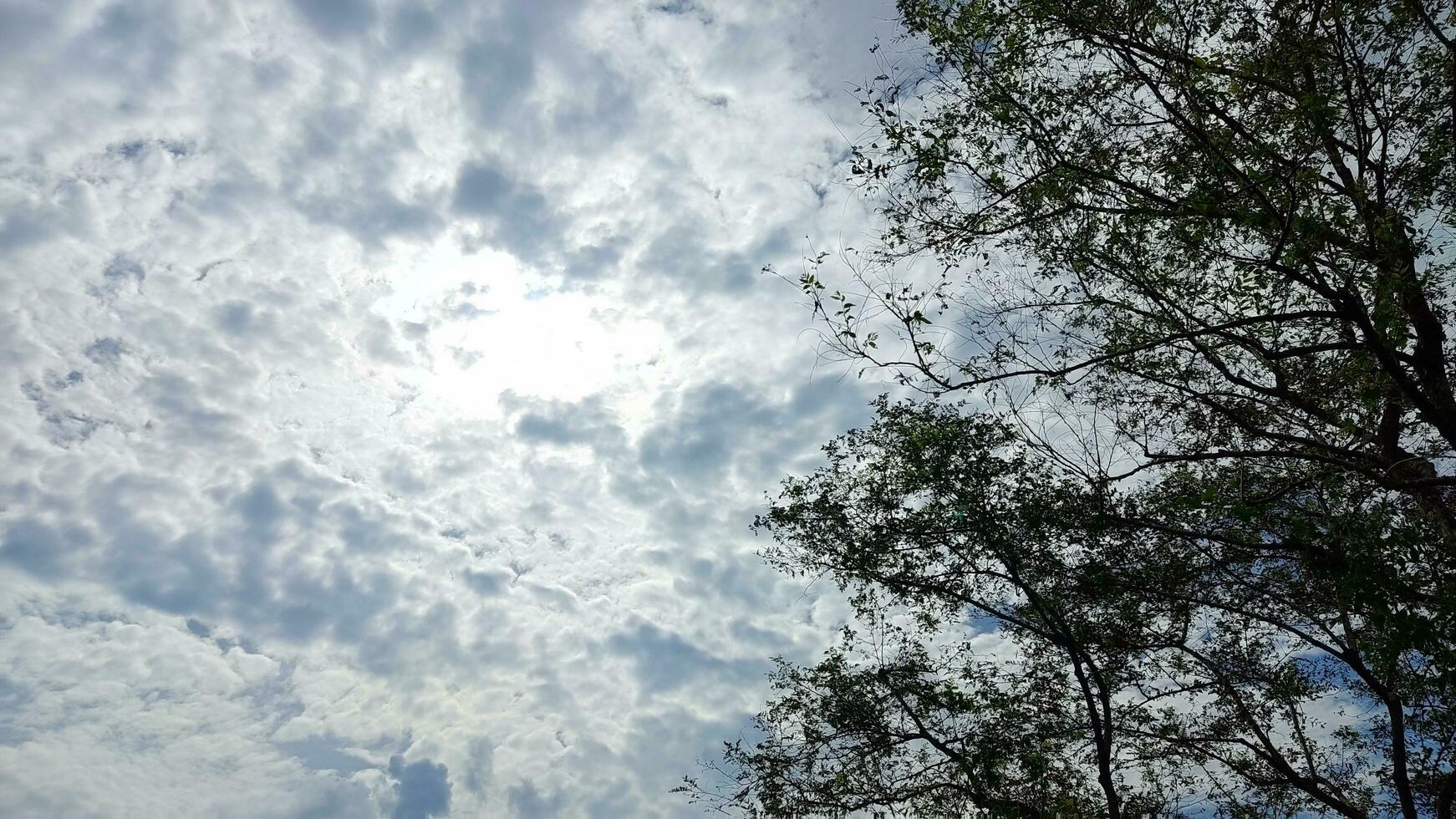 foto de el cielo en el campo