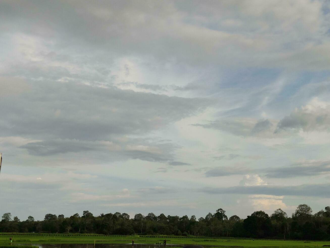 Photo of the Sky in the Countryside