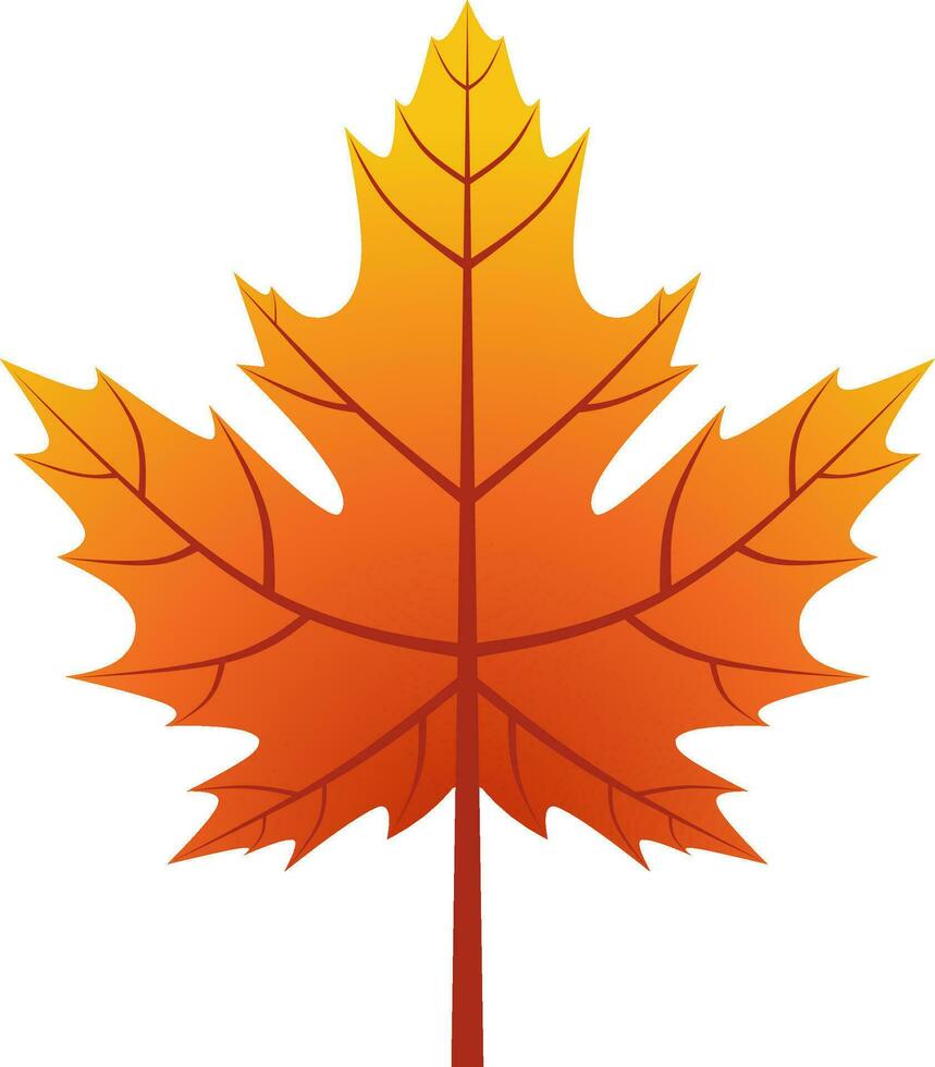 Maple leaf vector icon for autumn celebration. Fall season maple icon for cozy or hygge design graphic. Autumn leaf vector design for symbol, decoration or graphic resource