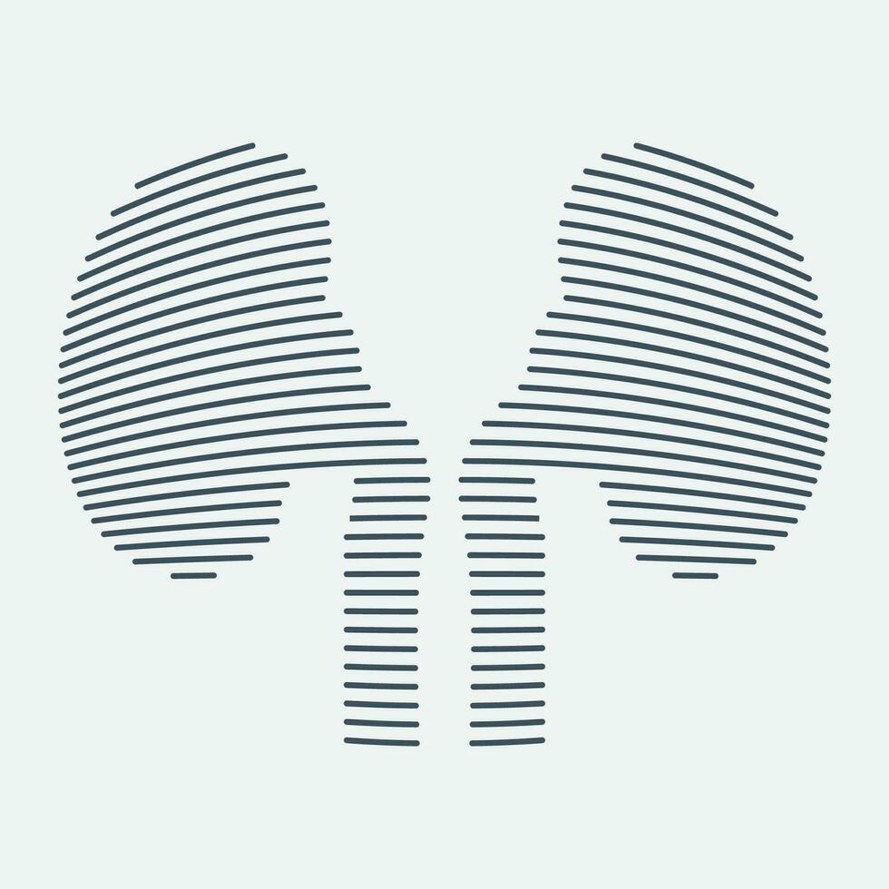 Line shape kidney logo vector