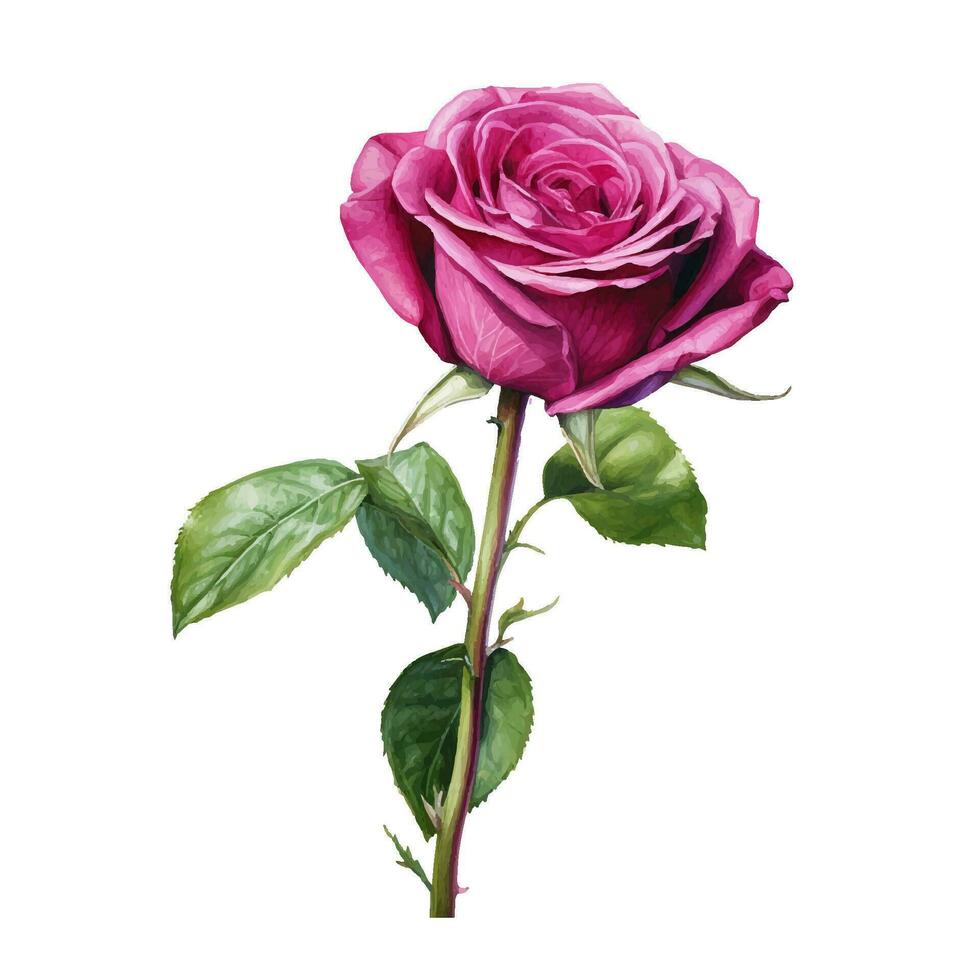 Pink flower watercolor illustration vector