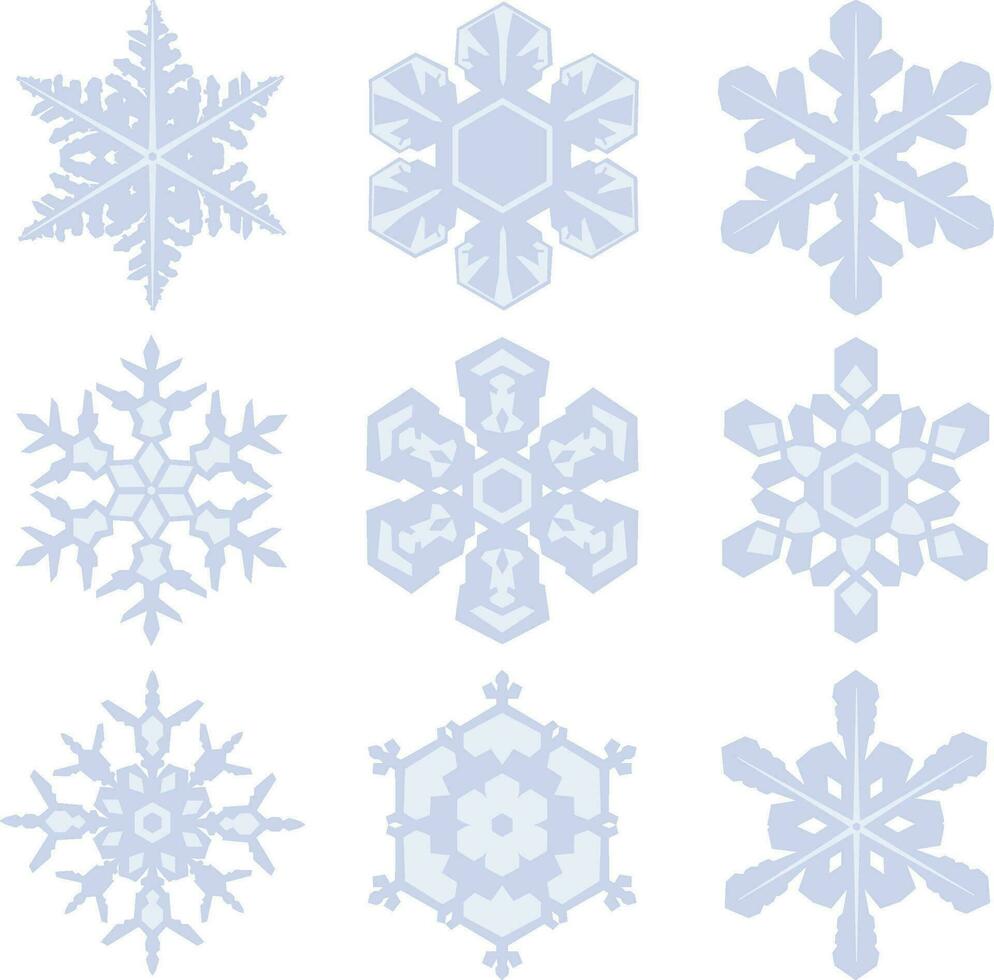 conjunto de copos de nieve aislado en blanco antecedentes vector