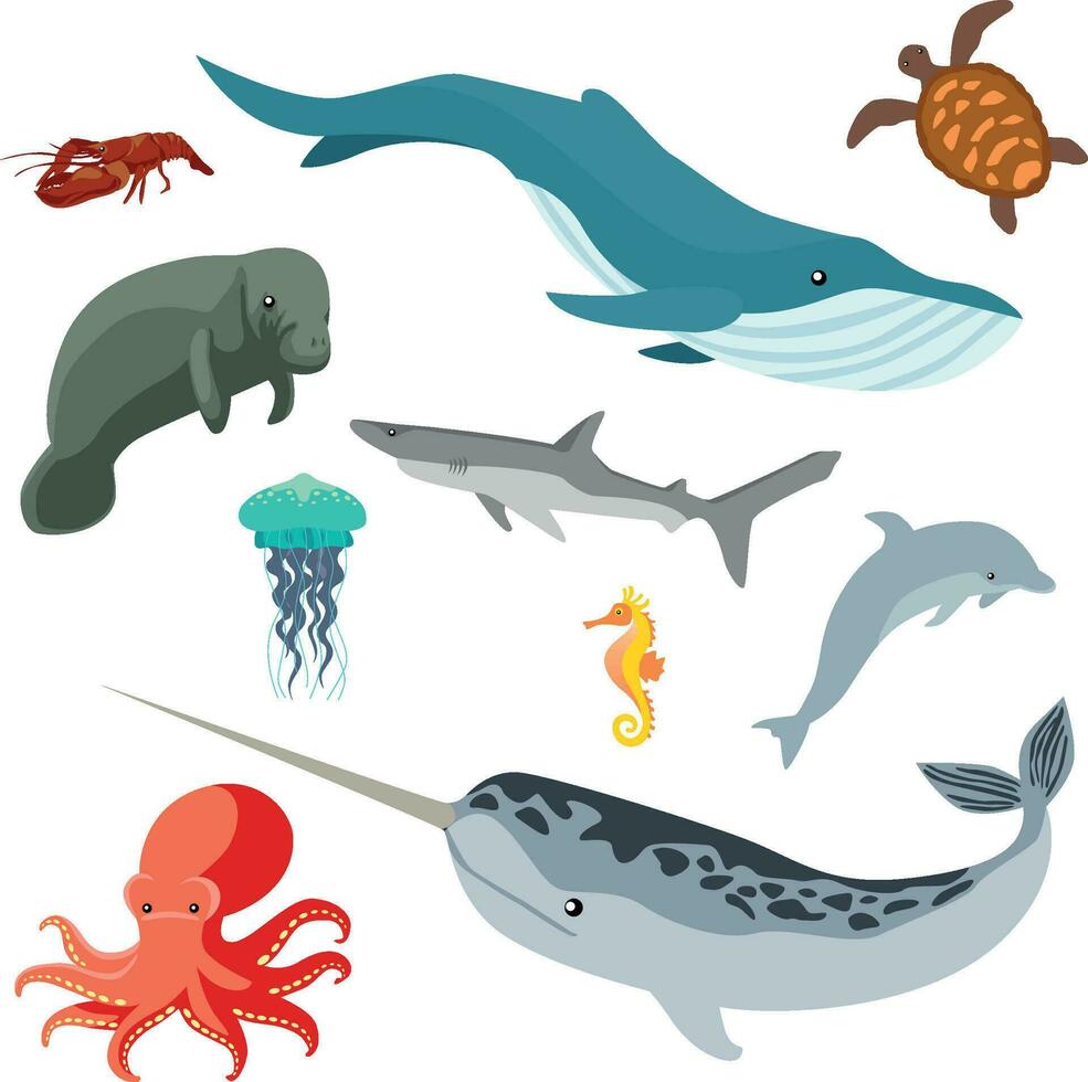 Sea creatures isolated on white background vector