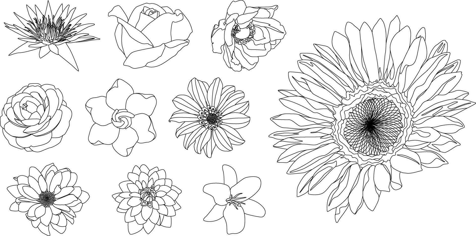 Different types of flowers in line art style for design customization isolated on white background vector