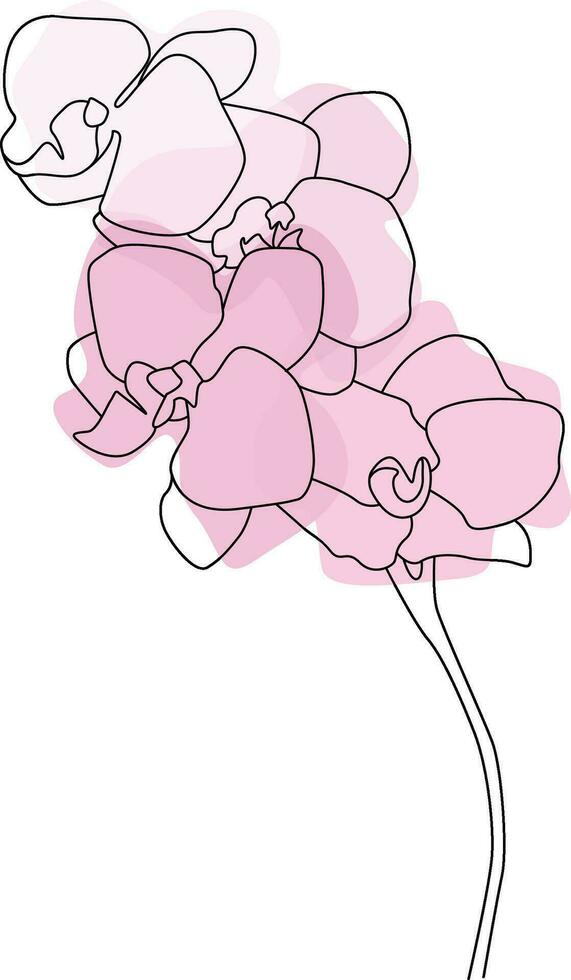 orquídeas flores línea Arte con rosado acuarela lugares aislado en blanco antecedentes vector