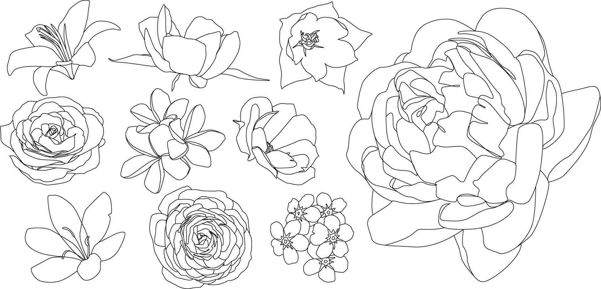 Different types of flowers in line art style for design customization isolated on white background vector