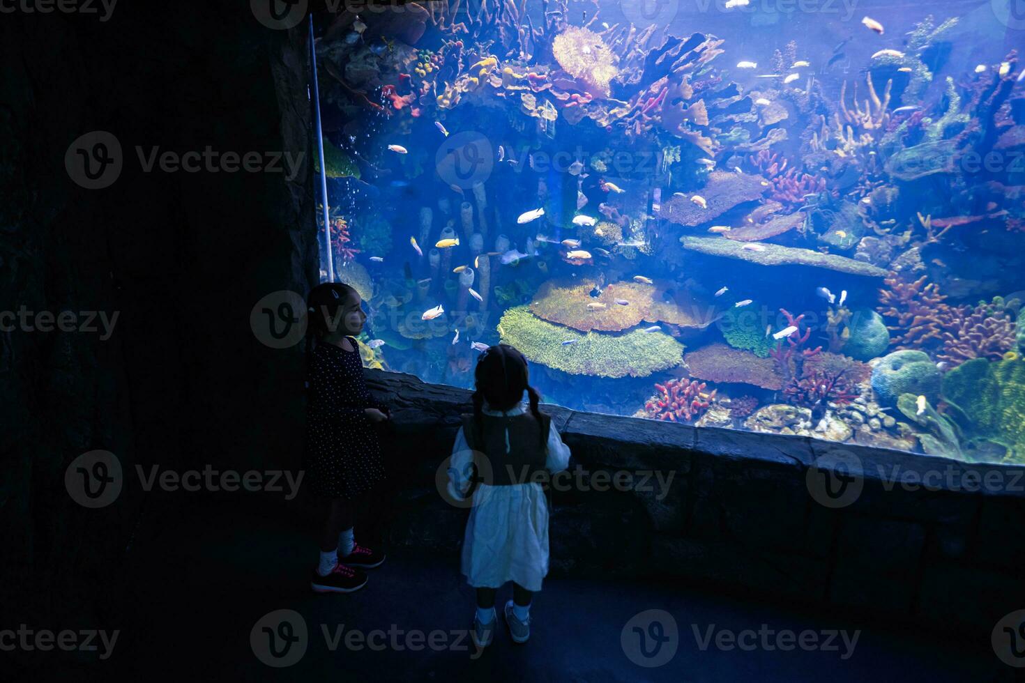 Children enjoying in ocean exhibit tank in oceanarium. photo