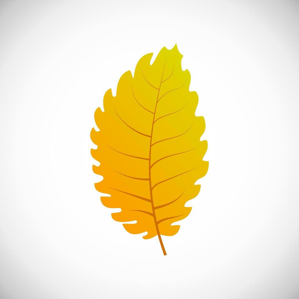 tilo amarillo hoja. otoño hoja de un árbol en un blanco antecedentes. vector ilustración