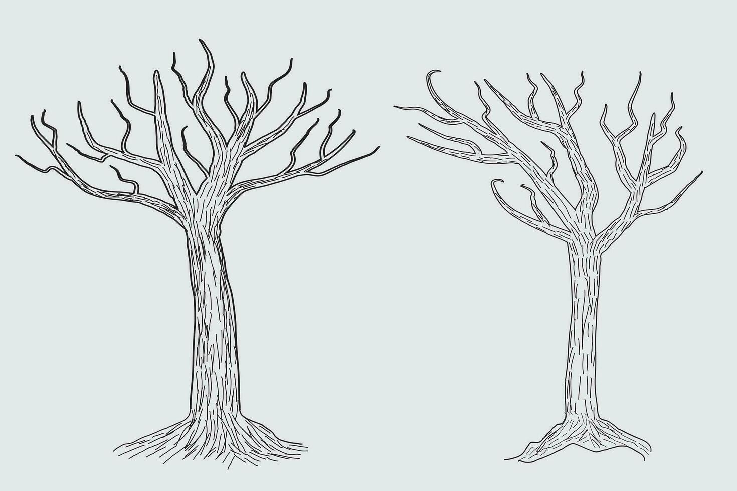 mano dibujado invierno desnudo árbol bosquejo vector, desnudo arboles sin hojas muerto antiguo seco No hojas lápiz bosquejo ilustración, invierno desnudo rama sin salir muerto árbol dibujo colorante página naturaleza bosque icono vector