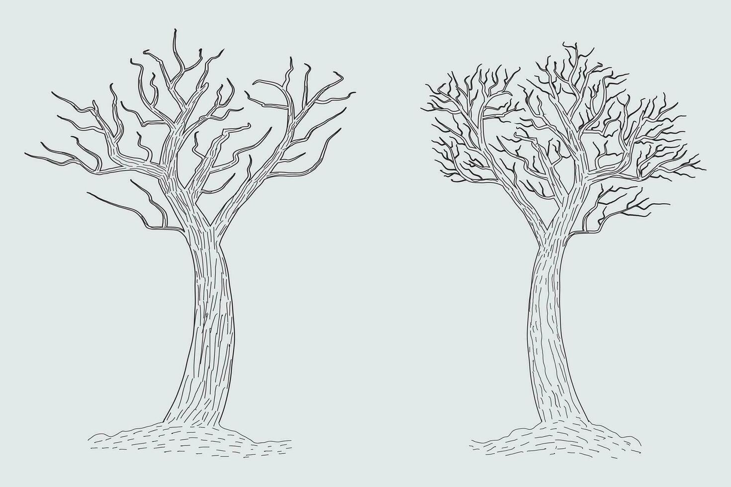 Hand drawn winter Bare Tree Sketch vector, bare Trees Leafless dead old dry No leaves pencil sketch illustration, Winter Naked Branch without leave Dead tree drawing Coloring Page nature forest icon vector