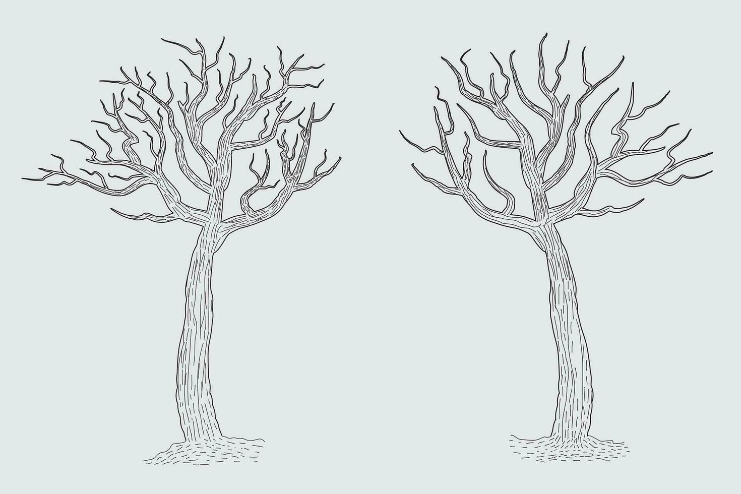 mano dibujado invierno desnudo árbol bosquejo vector, desnudo arboles sin hojas muerto antiguo seco No hojas lápiz bosquejo ilustración, invierno desnudo rama sin salir muerto árbol dibujo colorante página naturaleza bosque icono vector