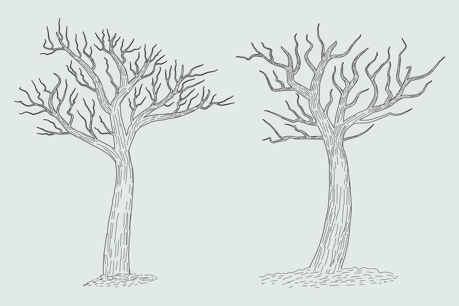 Hand drawn winter Bare Tree Sketch vector, bare Trees Leafless dead old dry No leaves pencil sketch illustration, Winter Naked Branch without leave Dead tree drawing Coloring Page nature forest icon vector