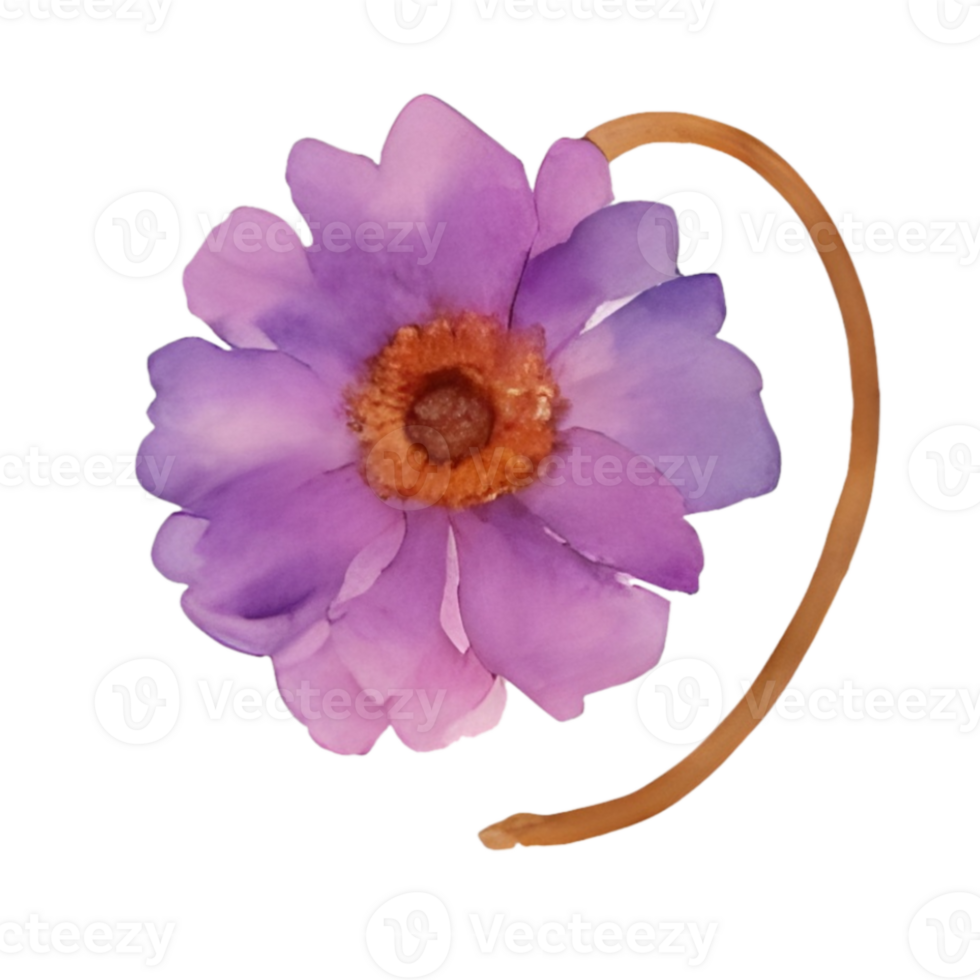 Flower bouquet watercolor png