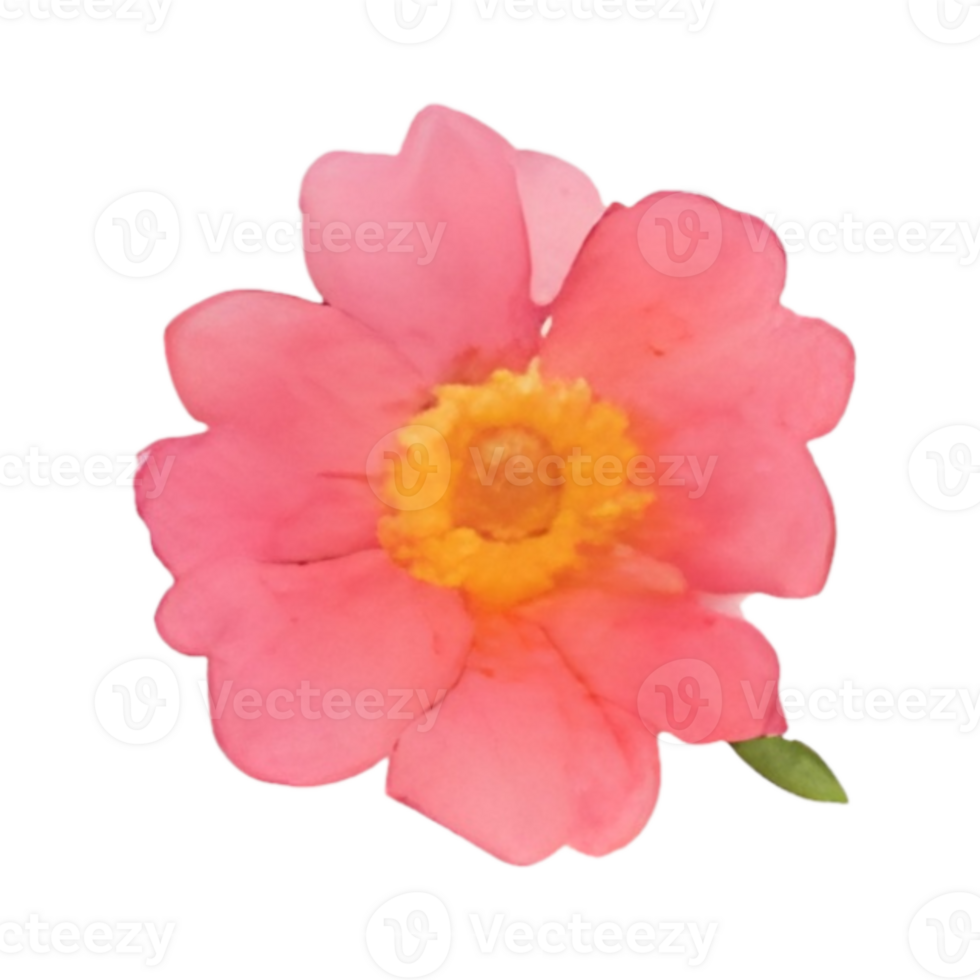 Flower bouquet watercolor png