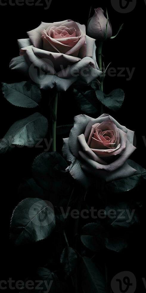 Spellbinding closeup portrait of roses, eternal melancholy, AI Generated photo
