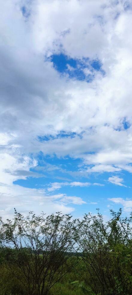 Sky And Cloud View photo