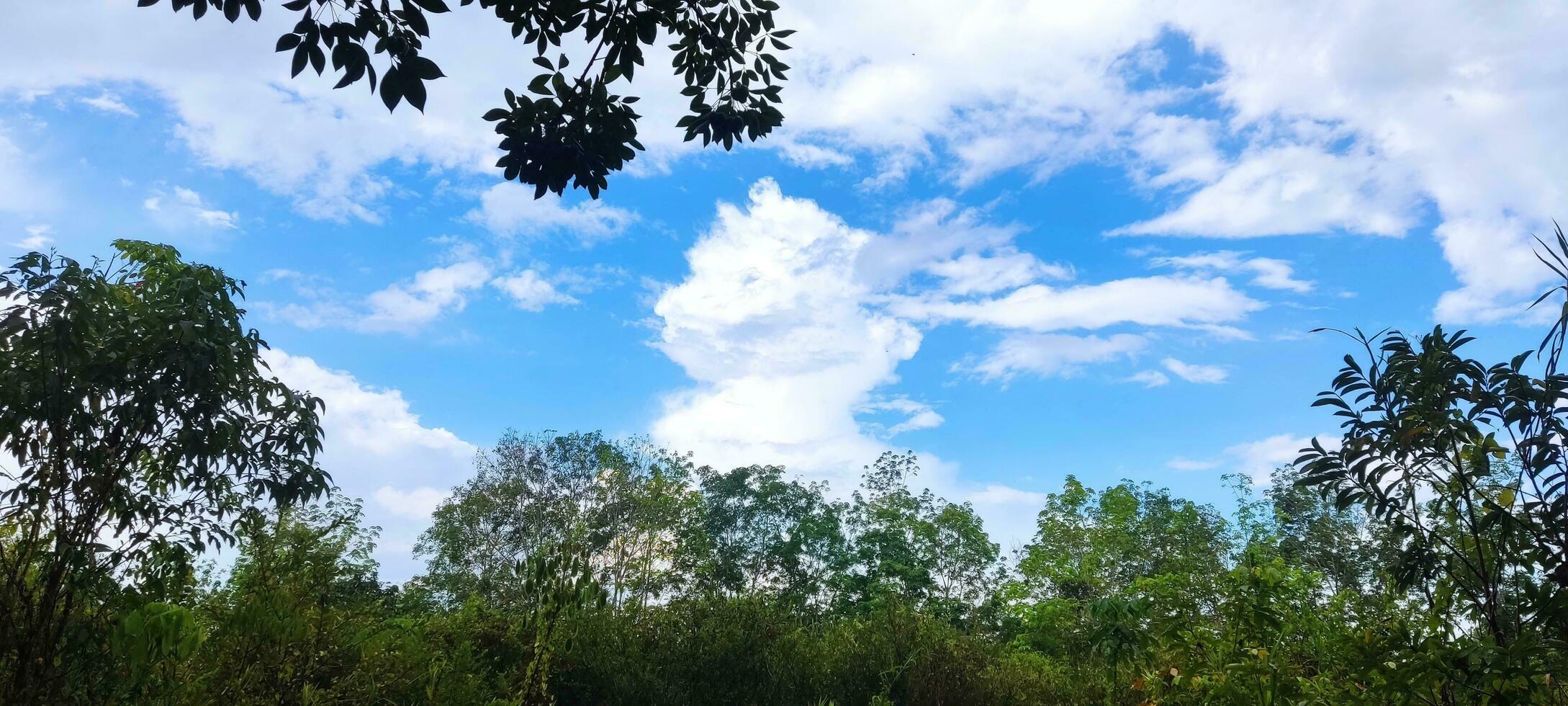 cielo y nube ver foto