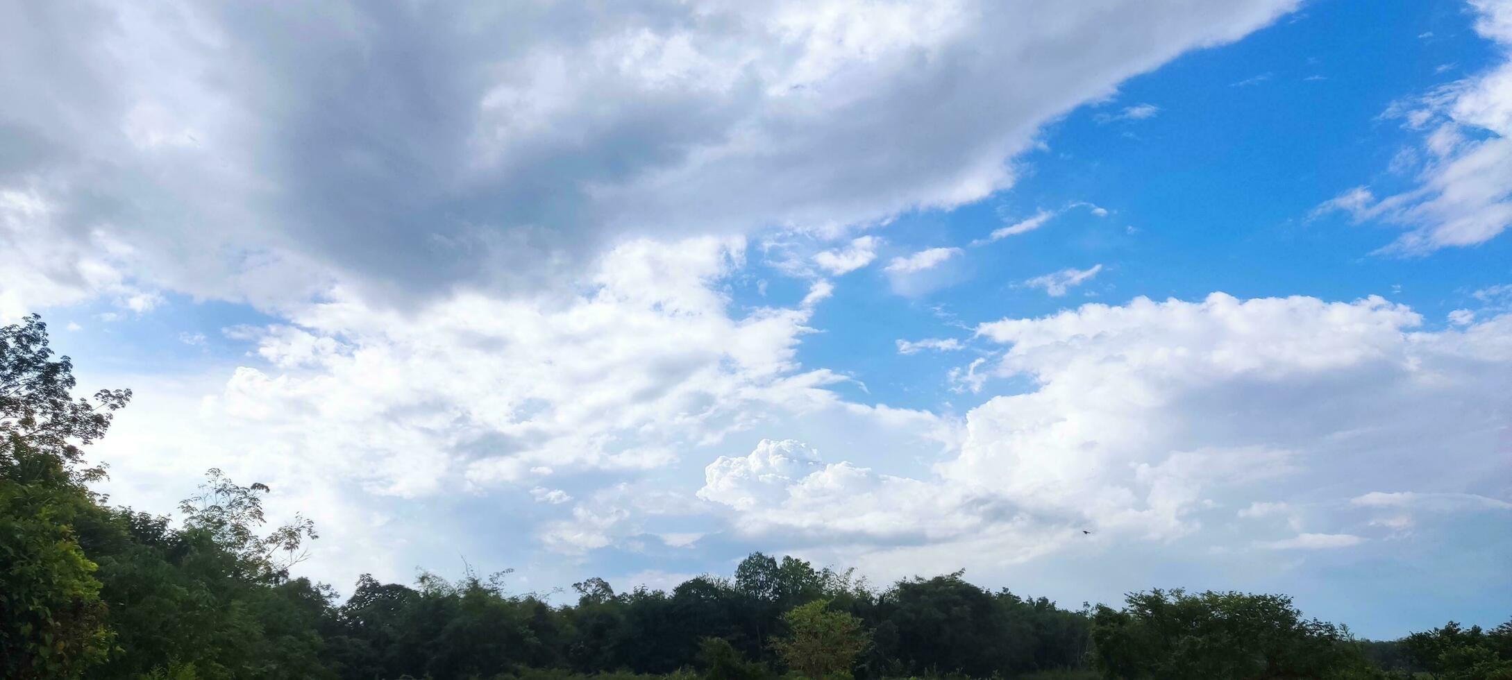 Sky And Cloud View photo