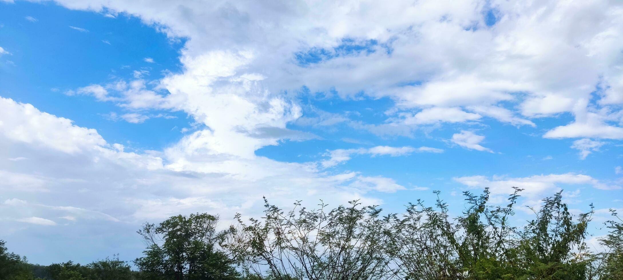 Sky And Cloud View photo