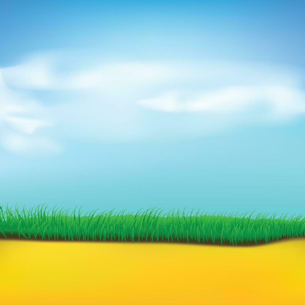 grass sand sky vector