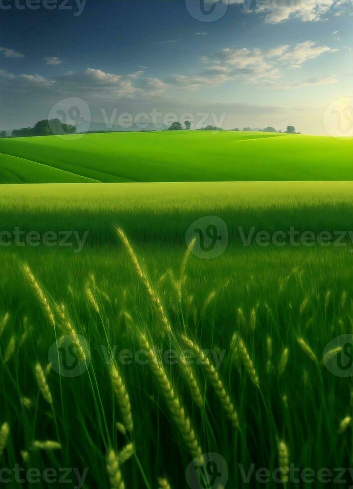 A beautiful Green wheat field, Generative AI Illustration. photo