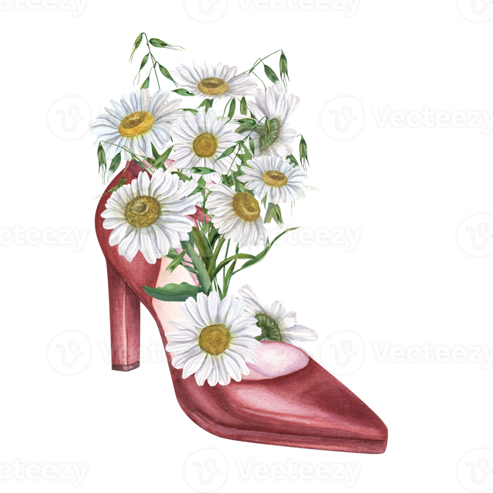 Cute bouquet of daisies and wild oats in elegant women shoes. Terracotta leather woman shoes with high heels. Vintage watercolor illustration. Party, wedding concept png