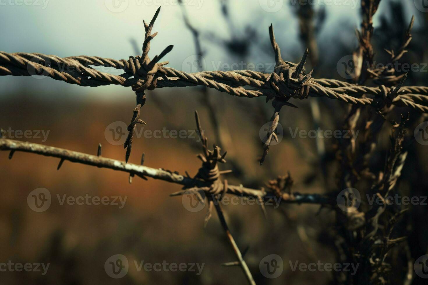 Threatening Barbed wire field closeup. Generate Ai photo