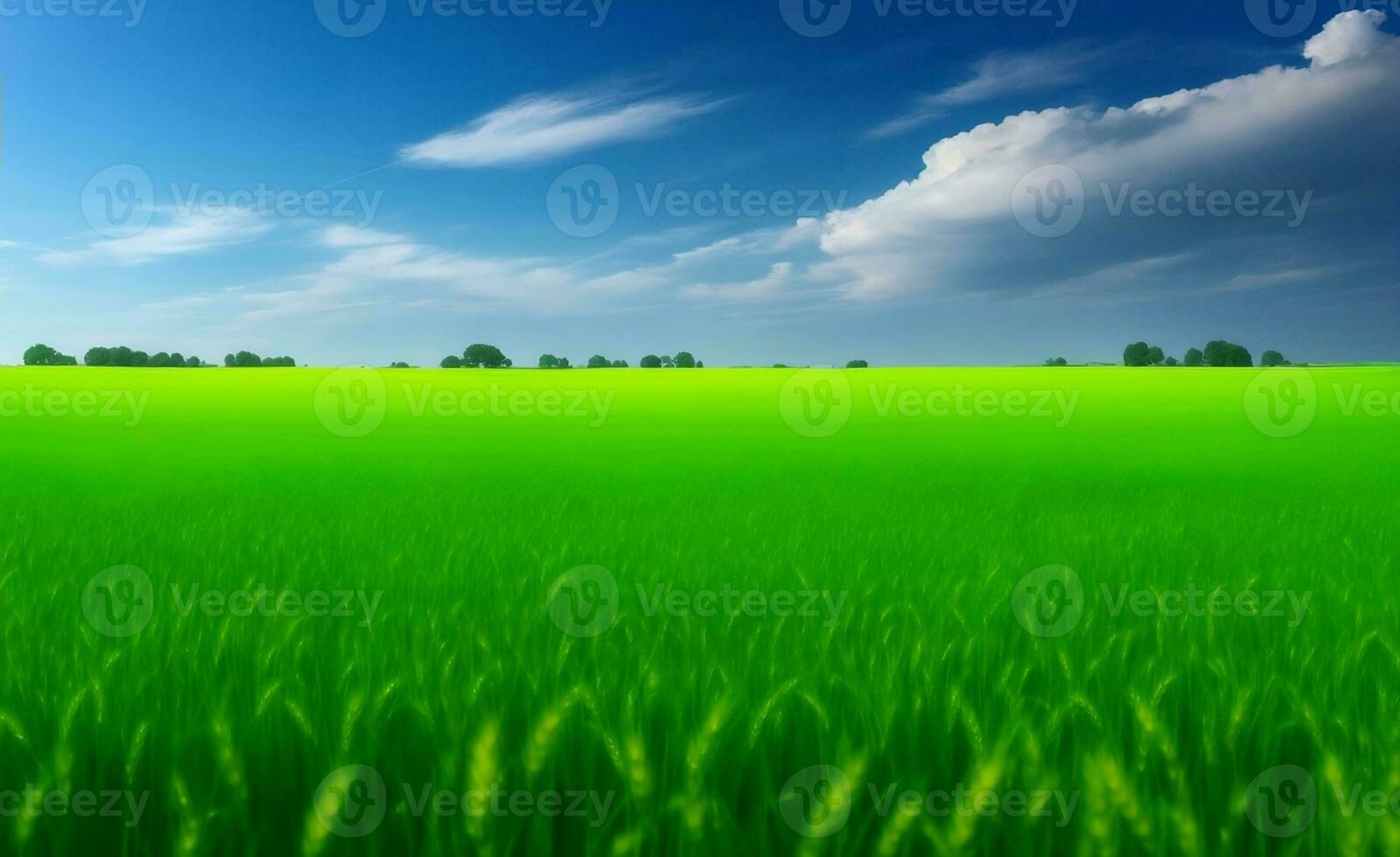 A beautiful Green wheat field, Generative AI Illustration. photo