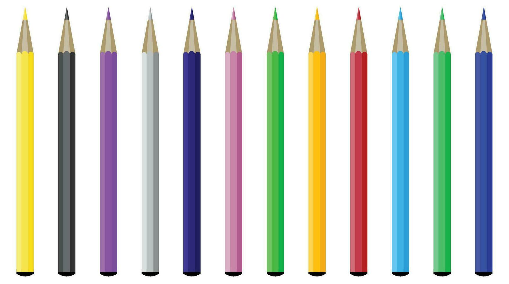Collection of colored pencils. Crayons and color pencil drawing, color pen vector, illustration of coloured pencils isolated vector