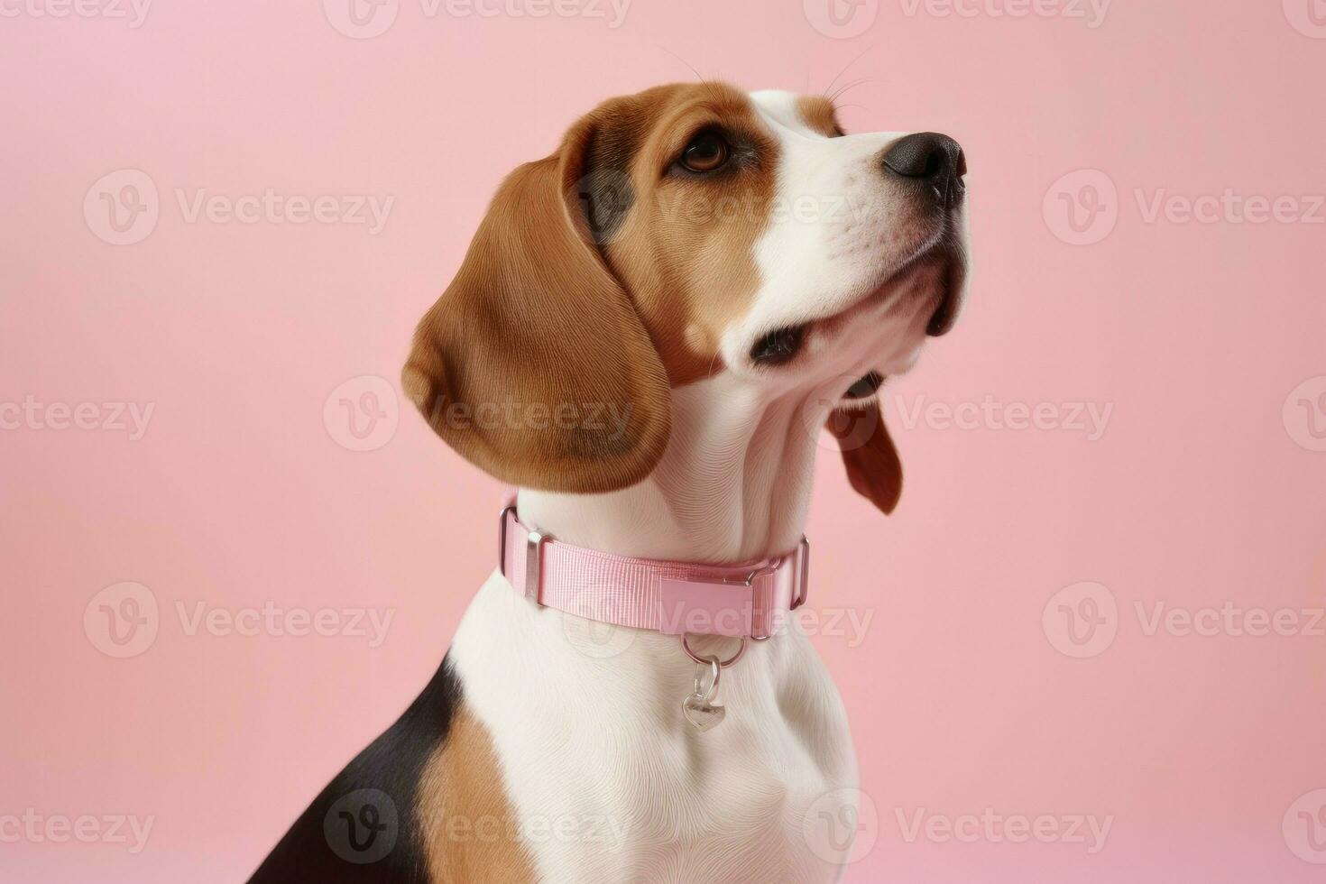 Beagle dog domestic. Generate Ai photo