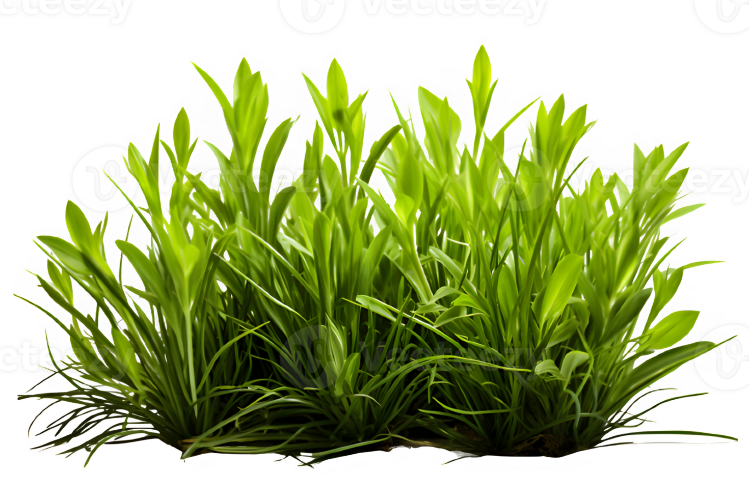 green bush grass isolated on transparent background ,grass bush cut out png ,generative ai