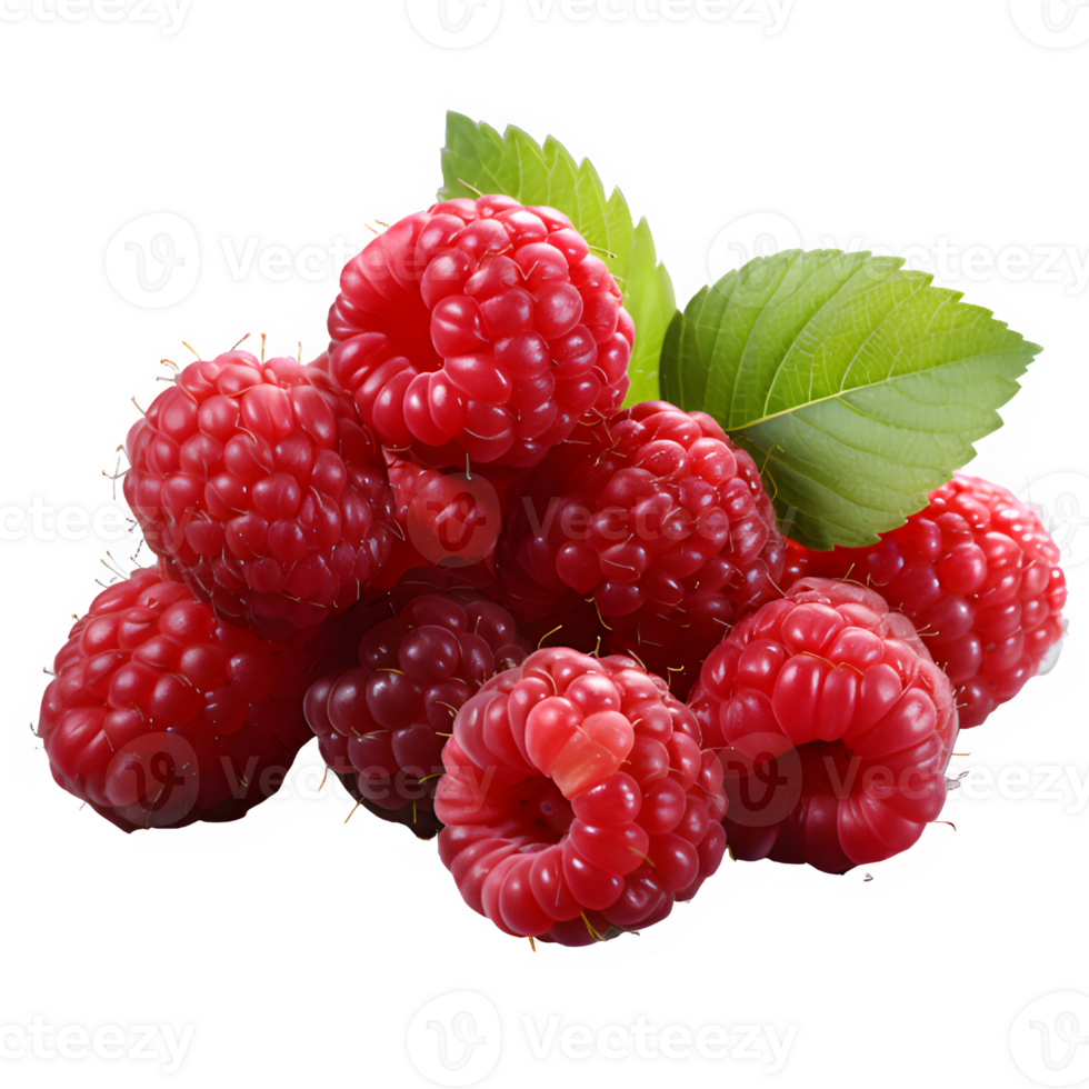 fresh red raspberry fruit cut out isolated on transparent background png ,generative ai