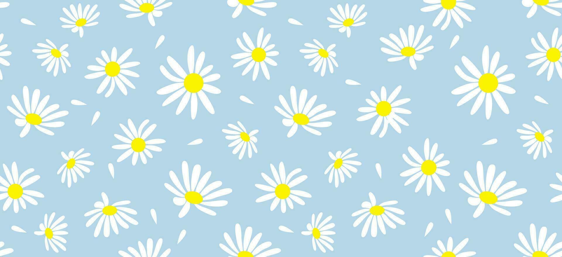 Daisy flower pattern. Beautiful White flower background. floral blossom daisy. Spring white flower design vector. Daisy's on a light blue background. Vector design for fabric, wrap paper,  print card.