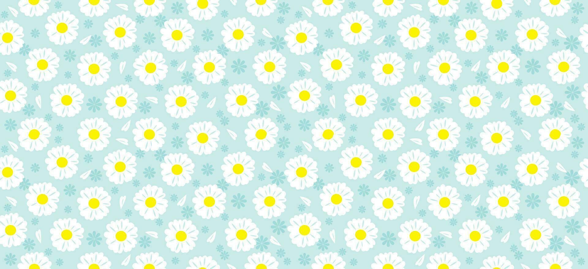 Daisy flower pattern. Beautiful White flower background. floral blossom daisy. Spring white flower design vector. Daisy's on a light blue background. Vector design for fabric, wrap paper,  print card.