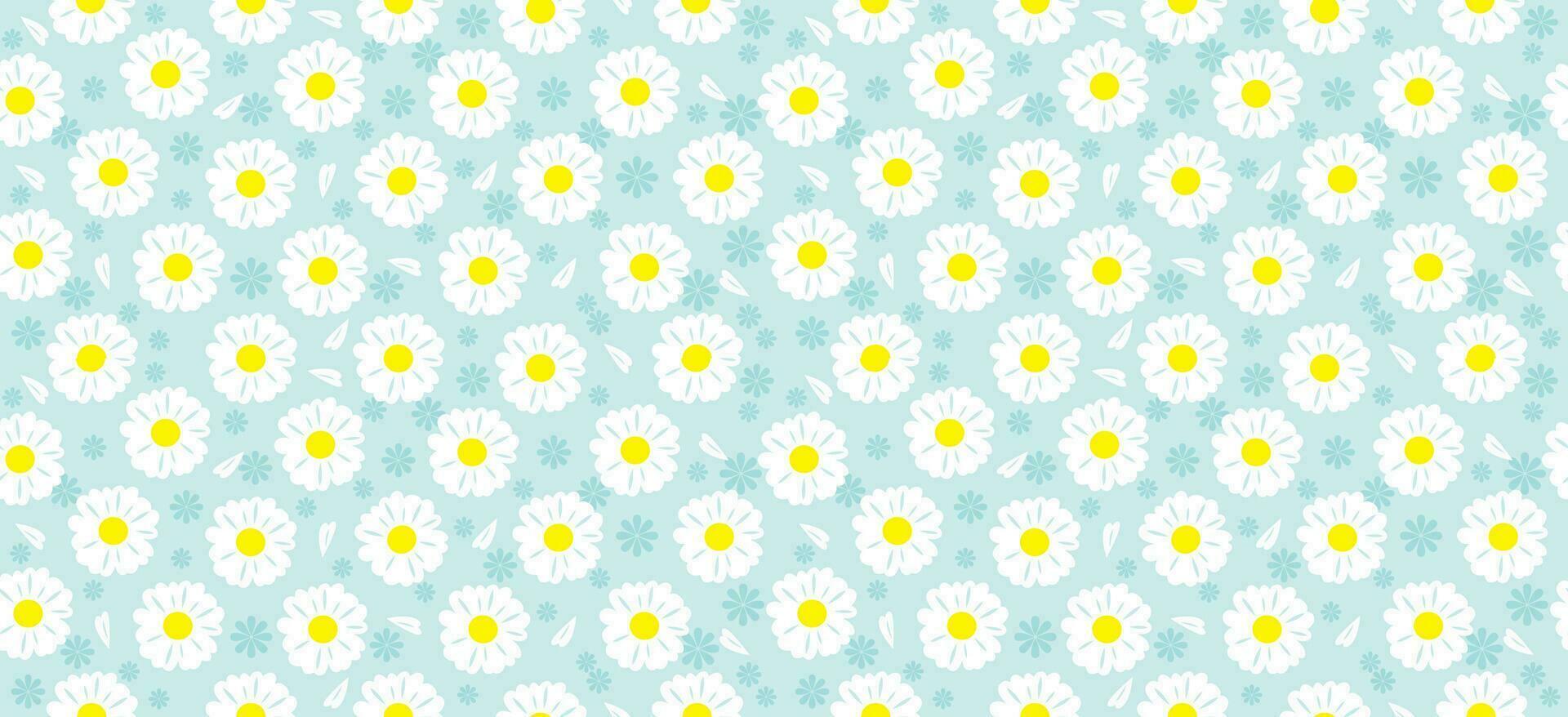 Daisy flower pattern. Beautiful White flower background. floral blossom daisy. Spring white flower design vector. Daisy's on a light blue background. Vector design for fabric, wrap paper,  print card.