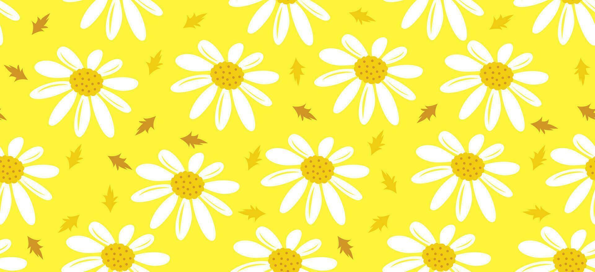 Daisy flower pattern. Beautiful White flower background. floral blossom daisy. Spring white flower design vector. Daisy's on a yellow background. Vector design for fabric, wrap paper, print card.