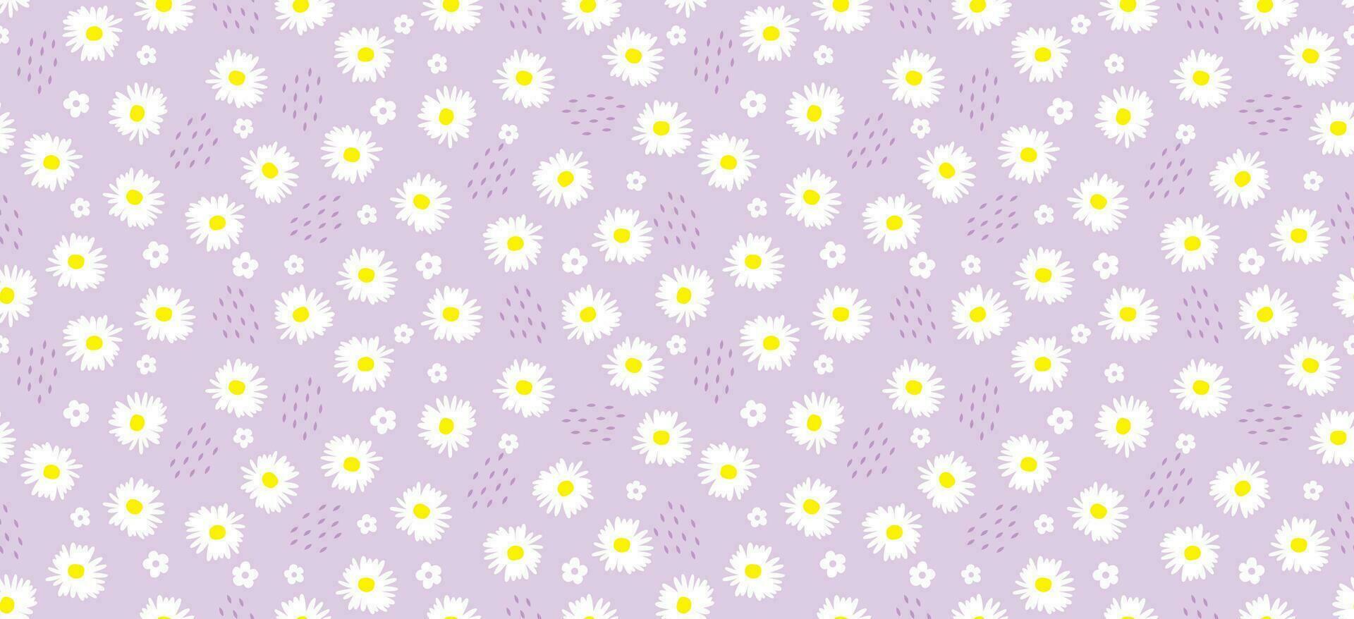 Daisy flower pattern. Beautiful White flower background. floral blossom daisy. Spring white flower design vector. Daisy's on a purple background. Vector design for fabric, wrap paper,  print card.