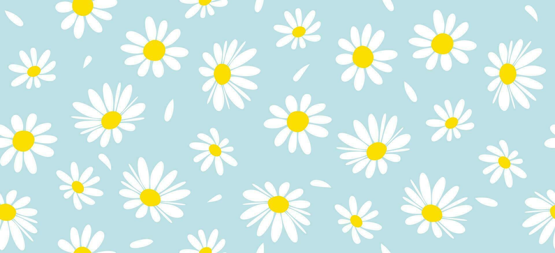 Daisy flower pattern. Beautiful White flower background. floral blossom daisy. Spring white flower design vector. Daisy's on a light blue background. Vector design for fabric, wrap paper,  print card.