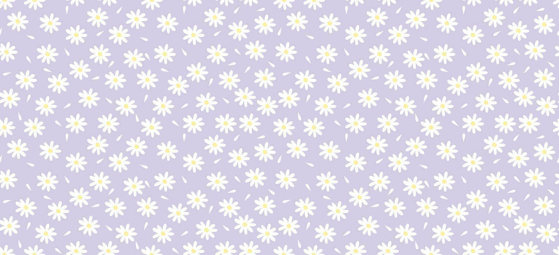 Daisy flower pattern. Beautiful White flower background. floral blossom daisy. Spring white flower design vector. Daisy's on a purple background. Vector design for fabric, wrap paper,  print card.