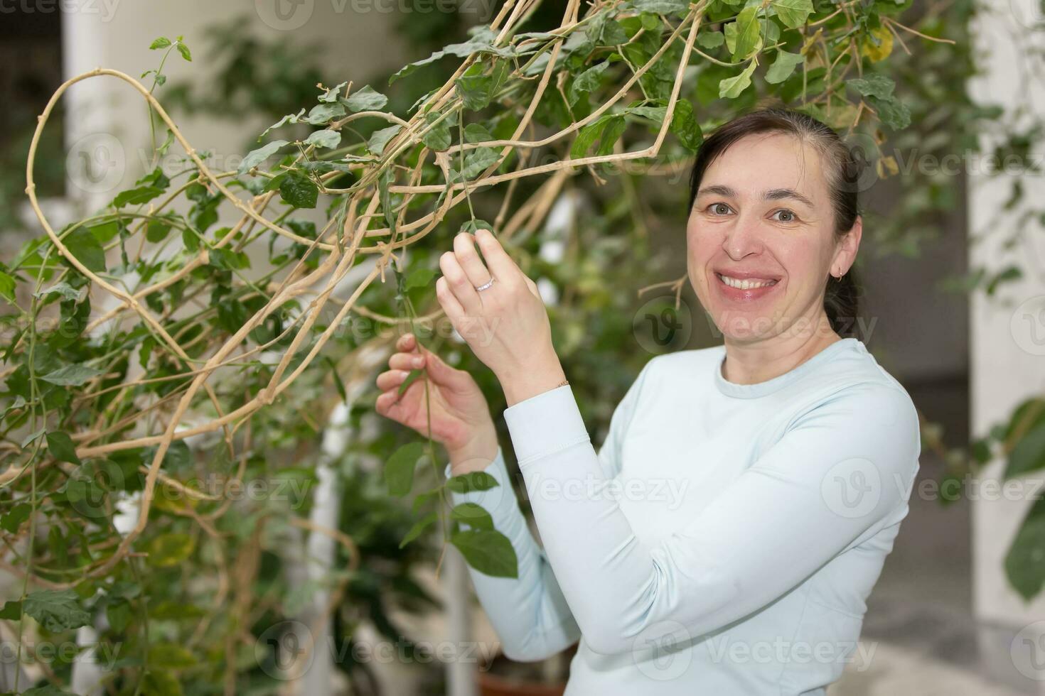 Middle-aged woman caring for a plant, looking at the camera and smiling. photo