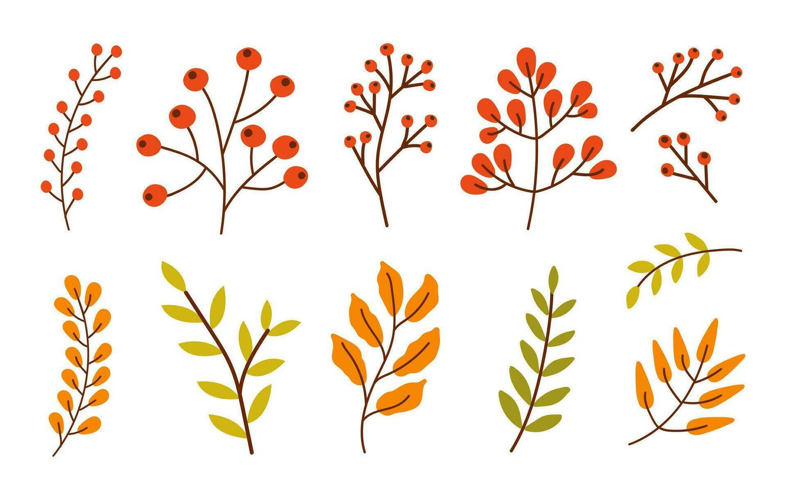 Colorful set of different branches with leaves, red berries isolated on a white background. Vector illustration