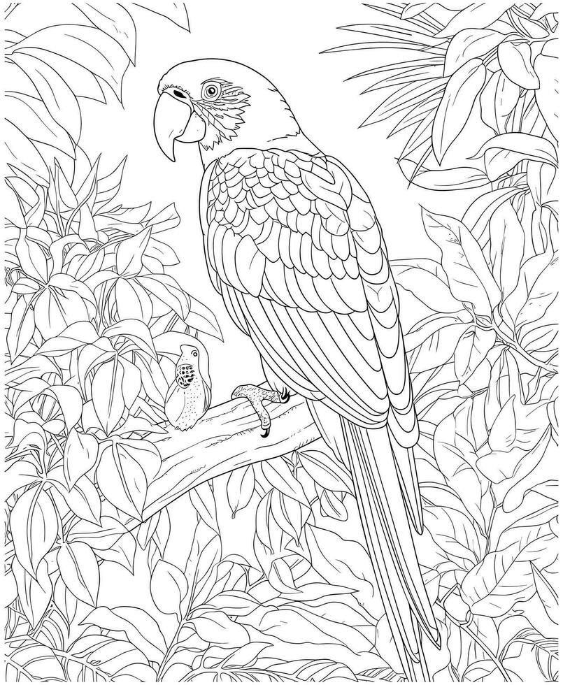 parrot coloring pages for adults vector