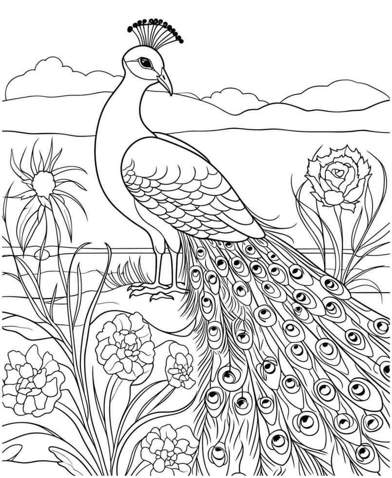 Realistic Peacock Coloring pages vector