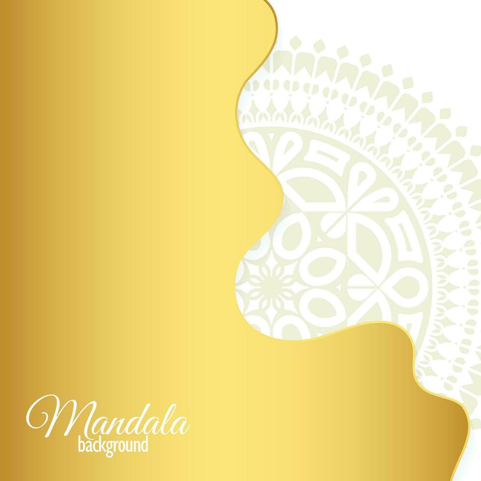Elegant white mandala background concept vector